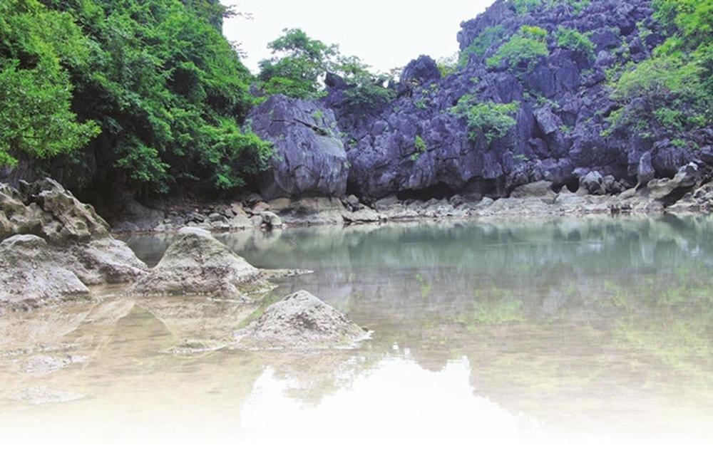 Charm Boutique Cruise Otel Ha Long Dış mekan fotoğraf