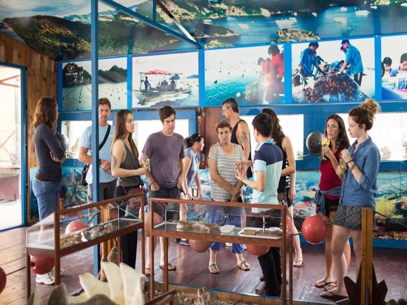 Charm Boutique Cruise Otel Ha Long Dış mekan fotoğraf
